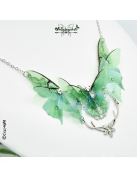 Actias Luna Butterfly