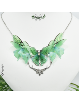 Papillon Actias Luna