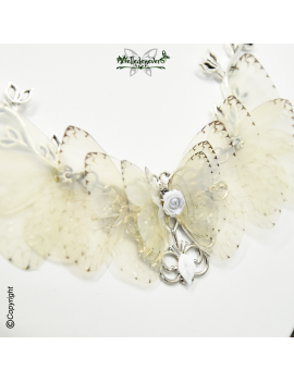 Papillon Blanca