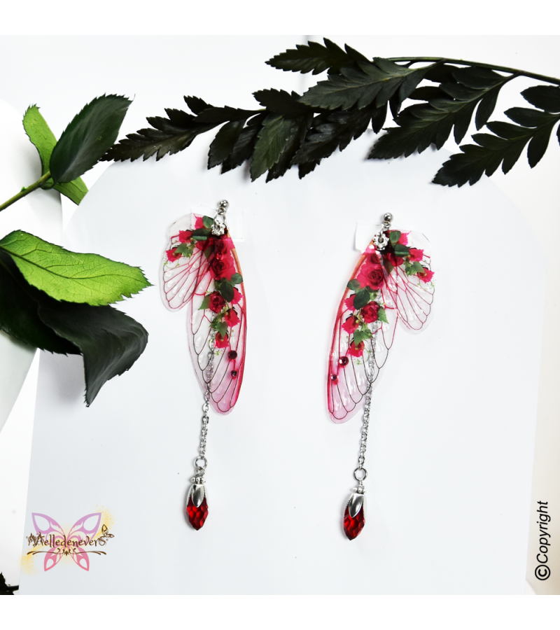 Fairy Roses Rubis - MAY