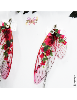 Fairy Roses Rubis - MAY