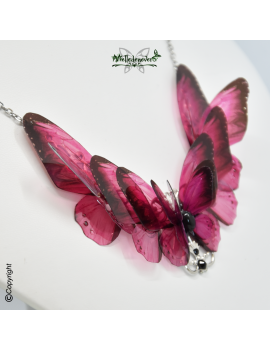 Papillon Fuschia